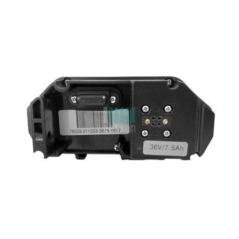 Blaupunkt type bagagedrager 36v (Frida, Franzi, Lotte, Emmi, Minna, Clara) uitgang